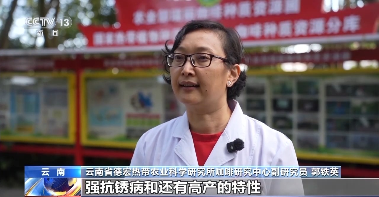 搭”经营 云南“咖啡＋”成消费新时尚电子