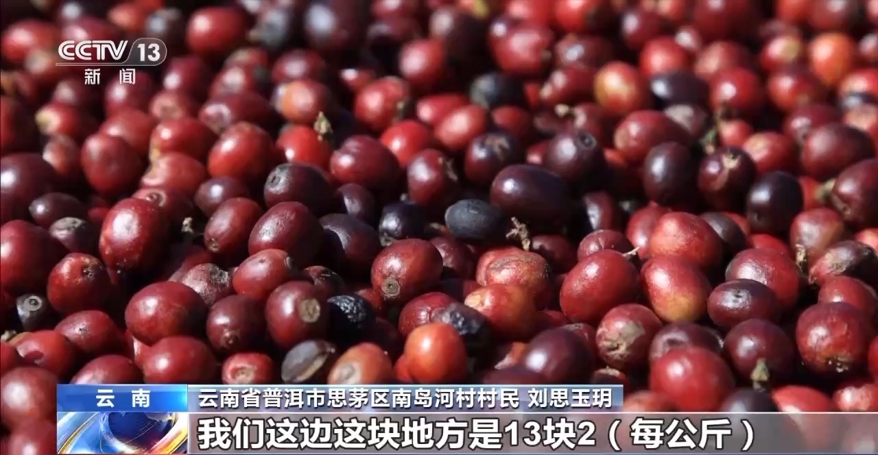 搭”经营 云南“咖啡+”成消费新时尚电子pg游戏丨用好豆出好咖啡 “混(图3) 搭”经营 云南“咖啡+”成消费新时尚电子pg游戏丨用好豆出好咖啡 “混(图3)