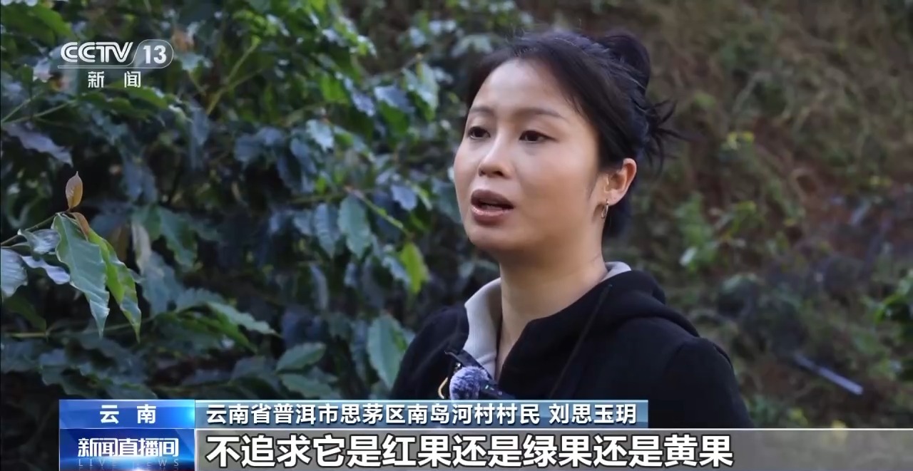 搭”经营 云南“咖啡+”成消费新时尚电子pg游戏丨用好豆出好咖啡 “混(图5) 搭”经营 云南“咖啡+”成消费新时尚电子pg游戏丨用好豆出好咖啡 “混(图5)