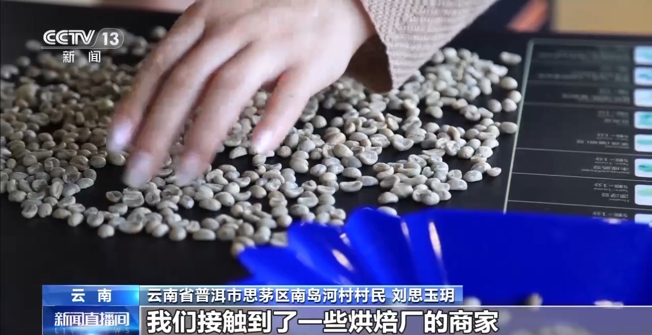 搭”经营 云南“咖啡+”成消费新时尚电子pg游戏丨用好豆出好咖啡 “混(图6) 搭”经营 云南“咖啡+”成消费新时尚电子pg游戏丨用好豆出好咖啡 “混(图6)